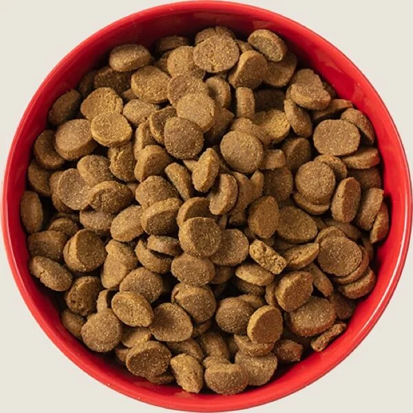 Kibble dog food